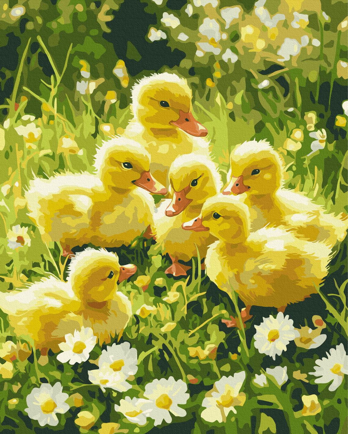 Картина по номерам Brushme Милые пушистики на лужайке 40x50 см (BS54232) Картина по номерам Brushme Милые пушистики на лужайке 40x50 см (BS54232)