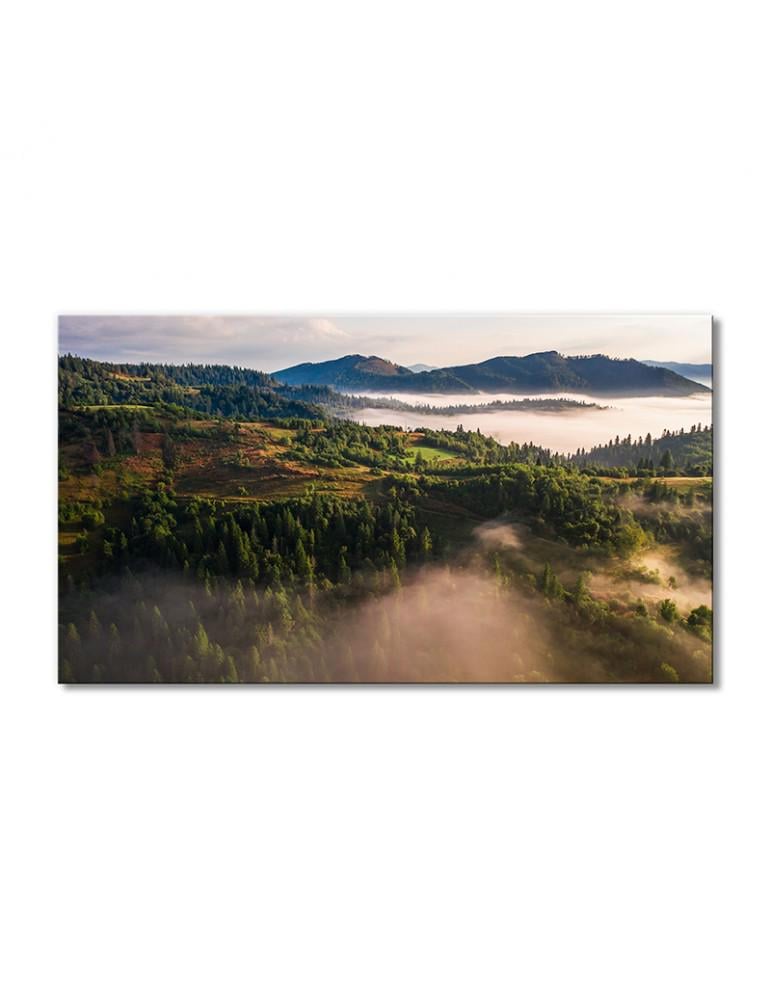 Картина модульная Пейзаж Лес в тумане 1 модуль 60x90 см (134813Pejzazh0005)