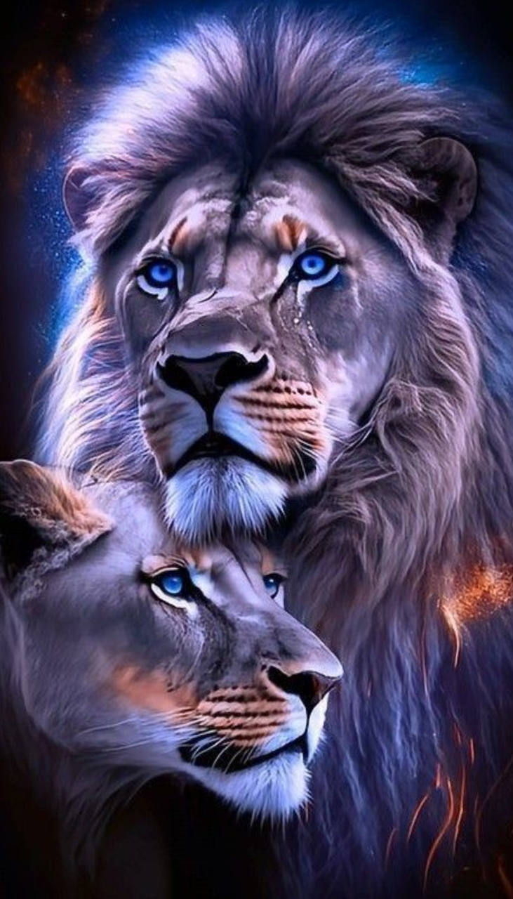 Алмазная мозаика Пара львов 40х70 см (29514279)