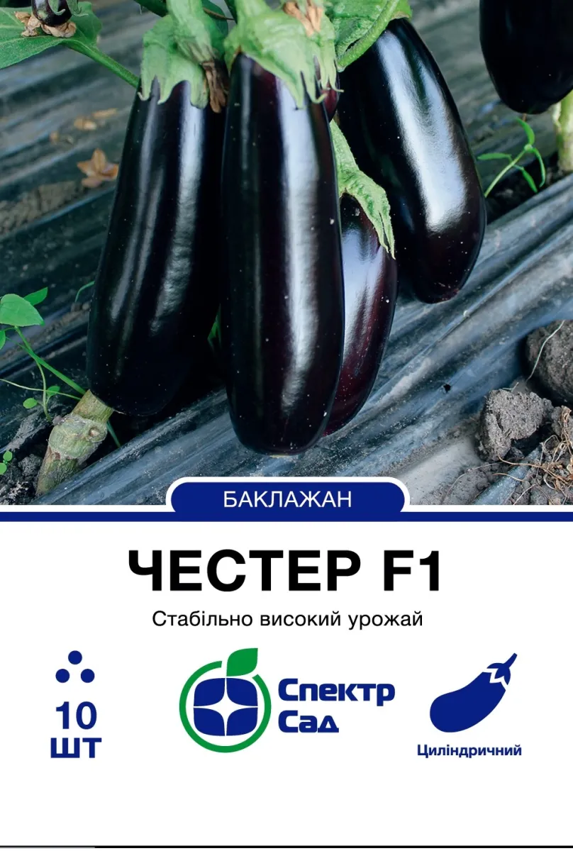 Семена Спектр Сад баклажана Честер F1 10 шт. (2092)