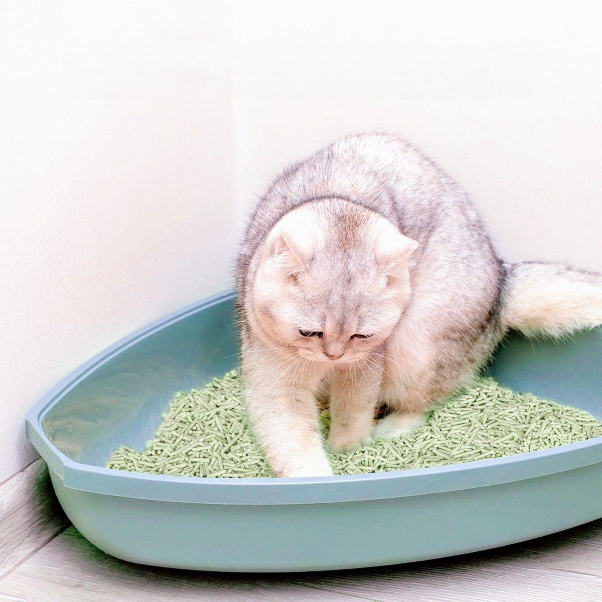 Наповнювач соєвий для котячого туалету Ultrakat Tofu з ароматом винограду 3 мм 6 л 2,5 кг - фото 2 Наповнювач соєвий для котячого туалету Ultrakat Tofu з ароматом винограду 3 мм 6 л 2,5 кг - фото 2