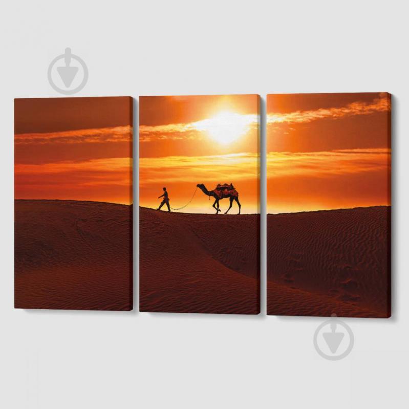 Модульная картина из трех частей Жаркая Сахара Malevich Store 126x80 см (MK311629)