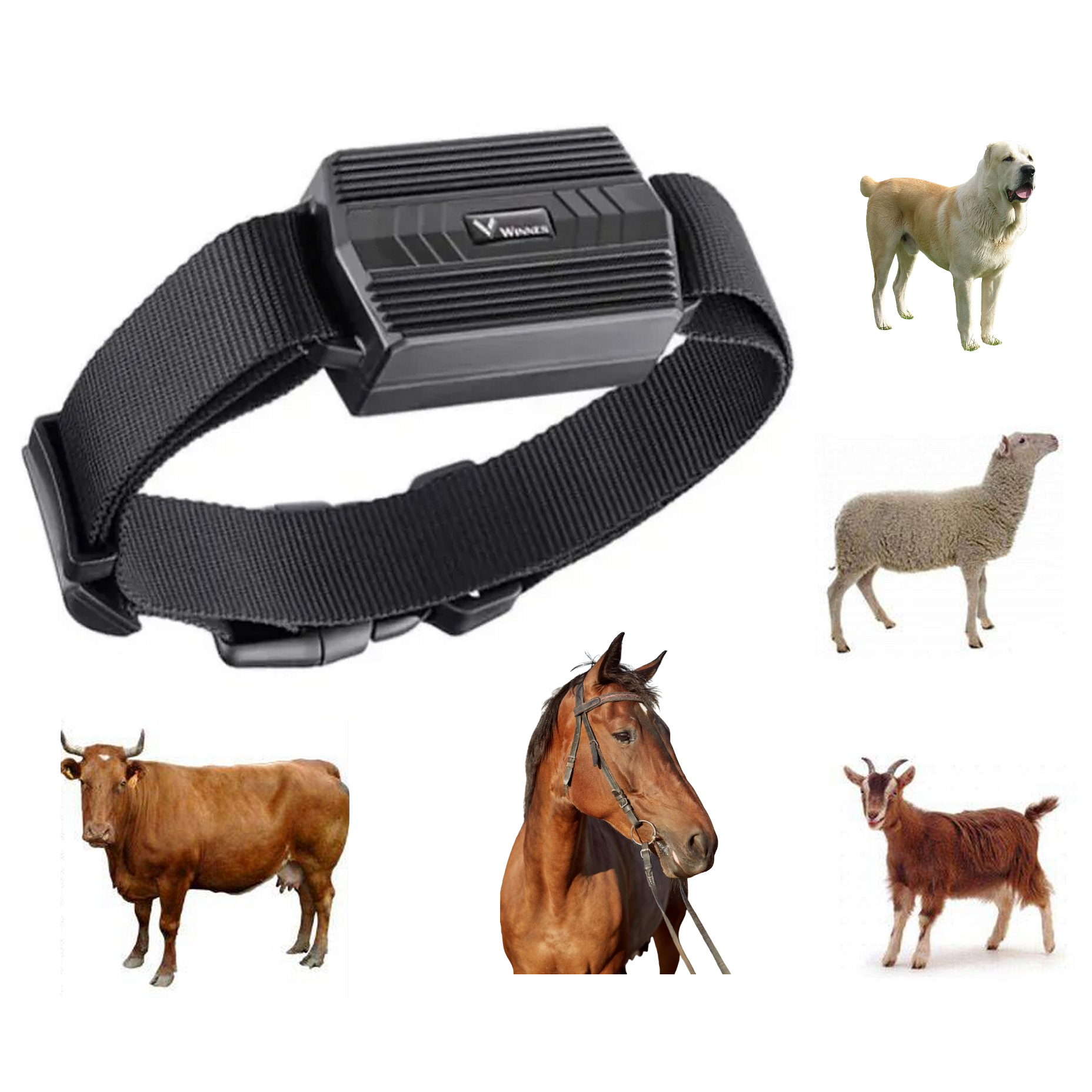 Нашийник ТКSTAR ТК-935 з GPS трекером для великих собак/коней/корів/кіз - фото 2 Нашийник ТКSTAR ТК-935 з GPS трекером для великих собак/коней/корів/кіз - фото 2