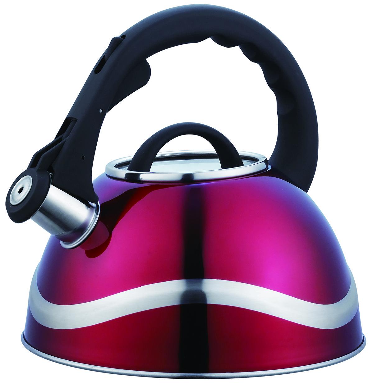 Чайник BN-707 из нержавеющей стали со свистком 3 л (9430982)