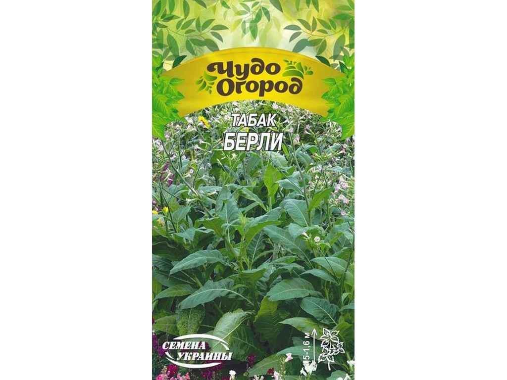 Семена Табак курительный Насіння України Чудо БЕРЛИ 0,1 г 10 пачек (489777)