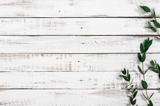 Фотофон вініловий 120x80 см Frontlit 450 г/м2 №56054