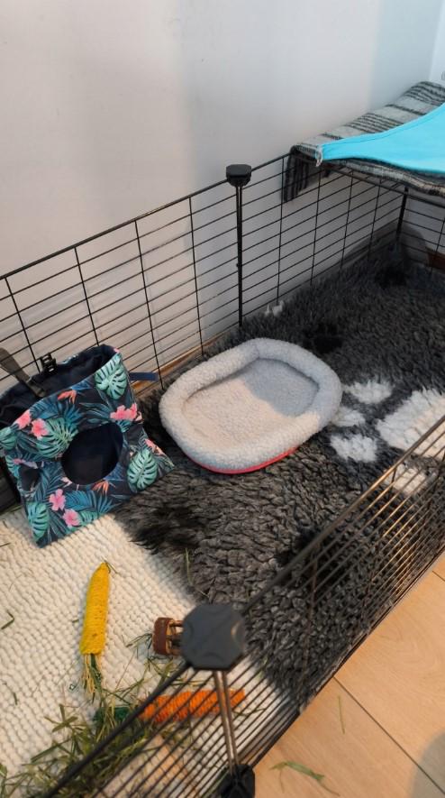 Клітка для гризунів 46х143х73 см - фото 11 Клітка для гризунів 46х143х73 см - фото 11