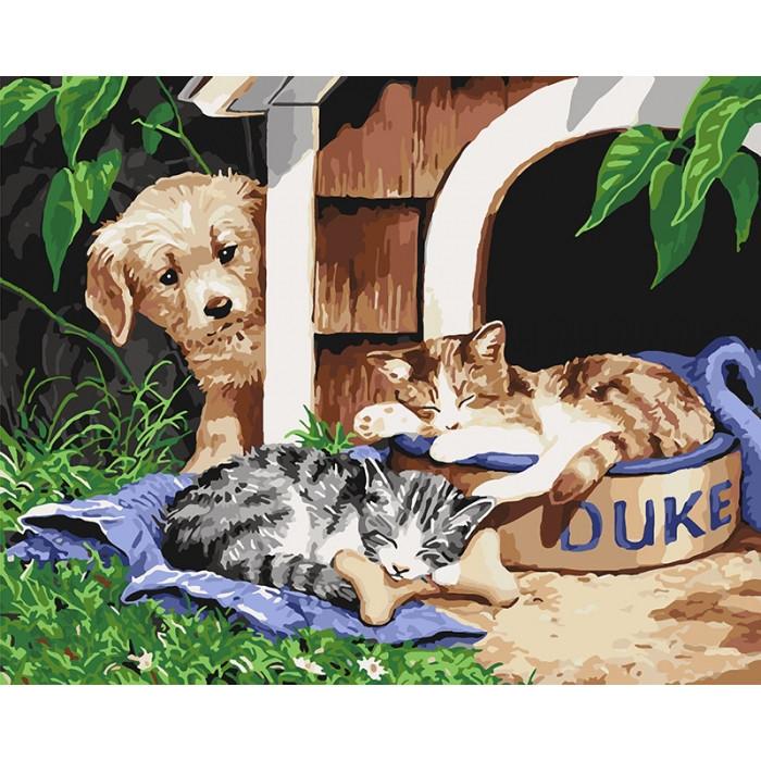 Картина по номерам Идейка "Герцог" 40х50 см (KHO4118)