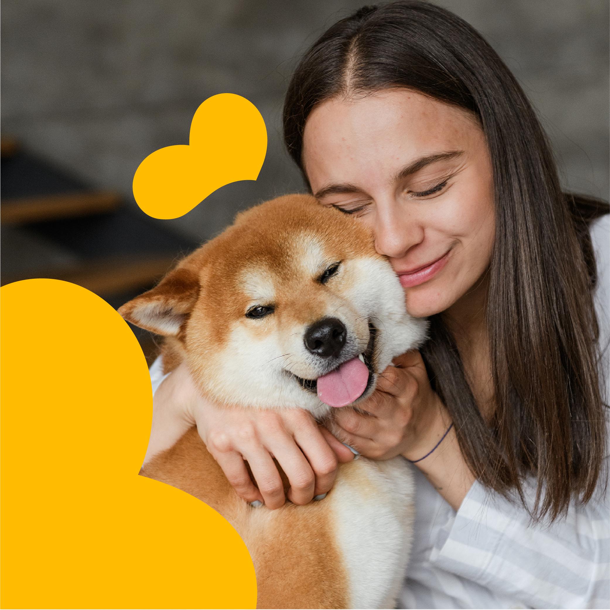 Лакомства для собак Mavsy Freeze dried CHEESECAKE WITH APPLE CRANBERRIES AND MANGO чизкейк с яблоком/клюквой и манго от 3-х месяцев 50 г (24624826) - фото 6