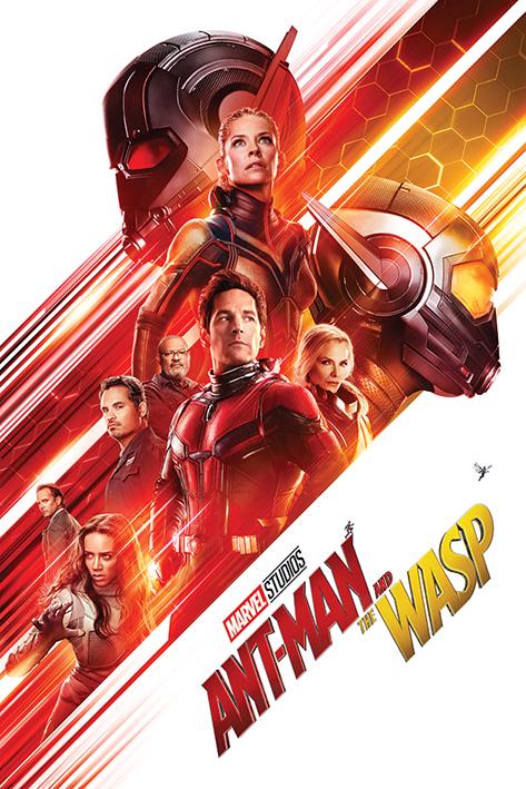 Постер плакат Человек-Муравей и Оса/Ant-Man and The Wasp One Sheet 61x91,5 см