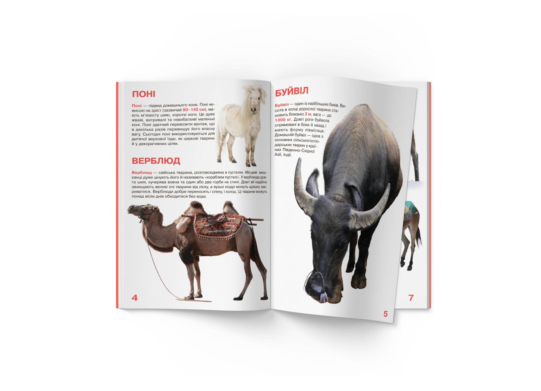 Книга "Велика книжка. Свійські тварини" (F00013734) - фото 2