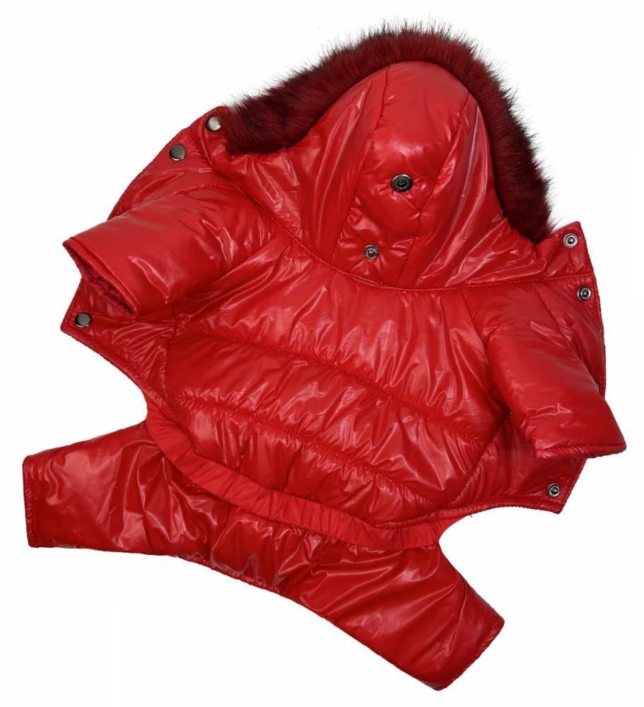 Комбінезон для собак зимовий A-77 лакований р. 7 Червоний (70579938)