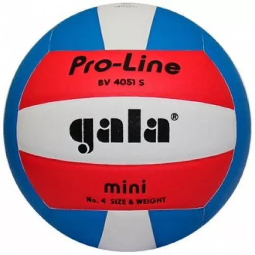 Волейбольний м'яч Gala Pro-Line р. 4 (only308_BV4051S)