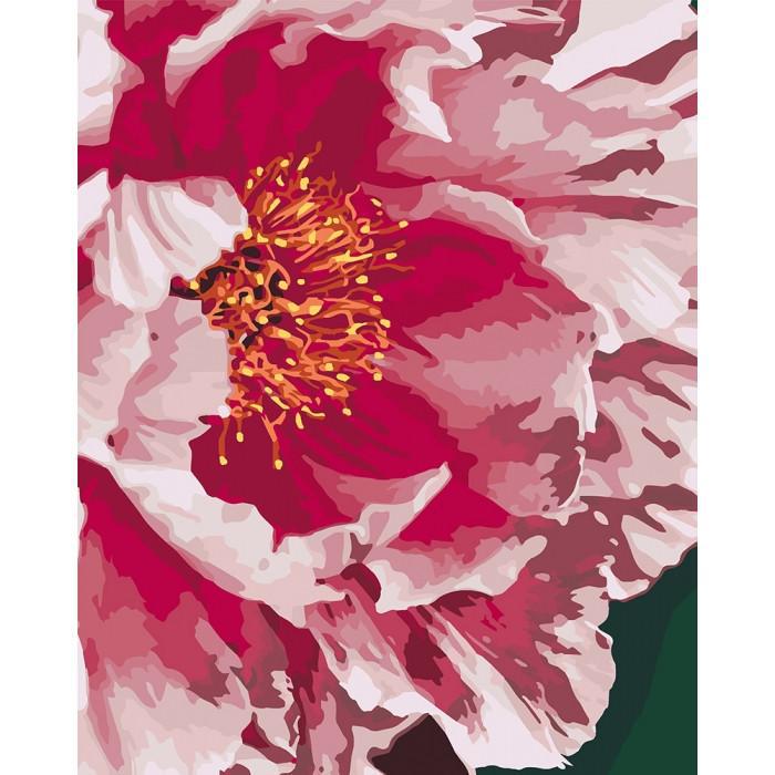 Картина по номерам Идейка "Пион" 40х50 см (KH3039)