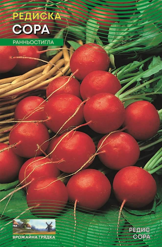 Семена редиса Сора 3 г (762)