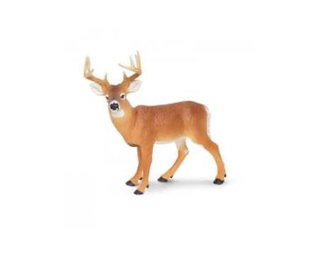 Фигурка игровая Safari Ltd Олень белохвостый (180029)