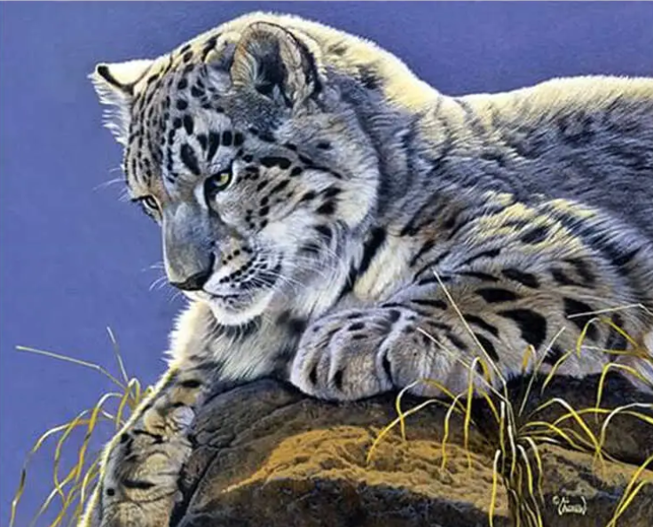 Алмазна мозаїка Сніжний барс 30х40 см на полотні з підрамником (GB77795)