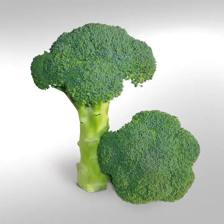 Насіння Капуста Брокколі Kitano Seeds KS 355 F1 2 500 шт. (2070292574)