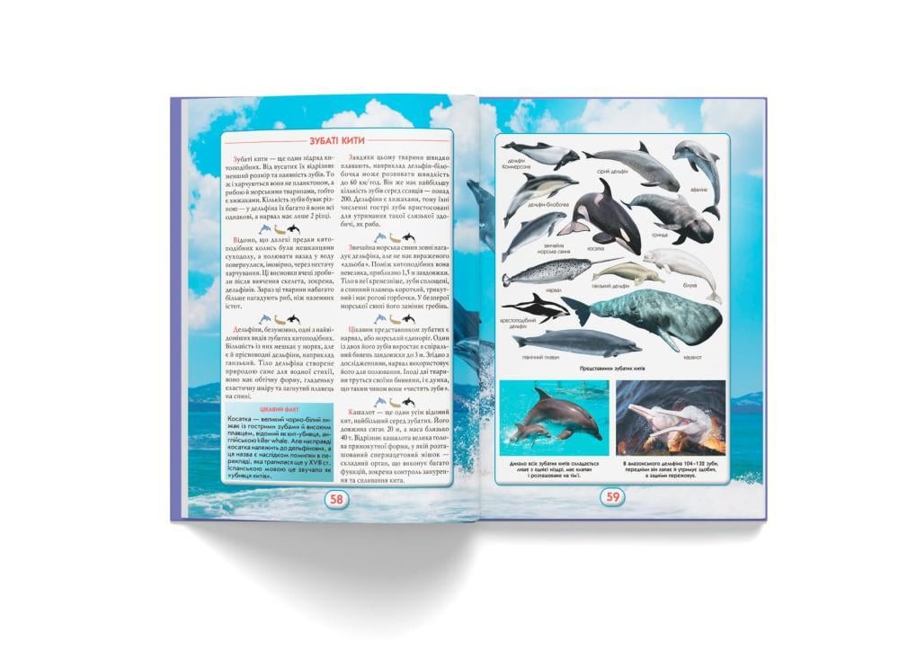 Книга "Ви маєте це знати. Світ звірів" (F00031321) - фото 4 Книга "Ви маєте це знати. Світ звірів" (F00031321) - фото 4
