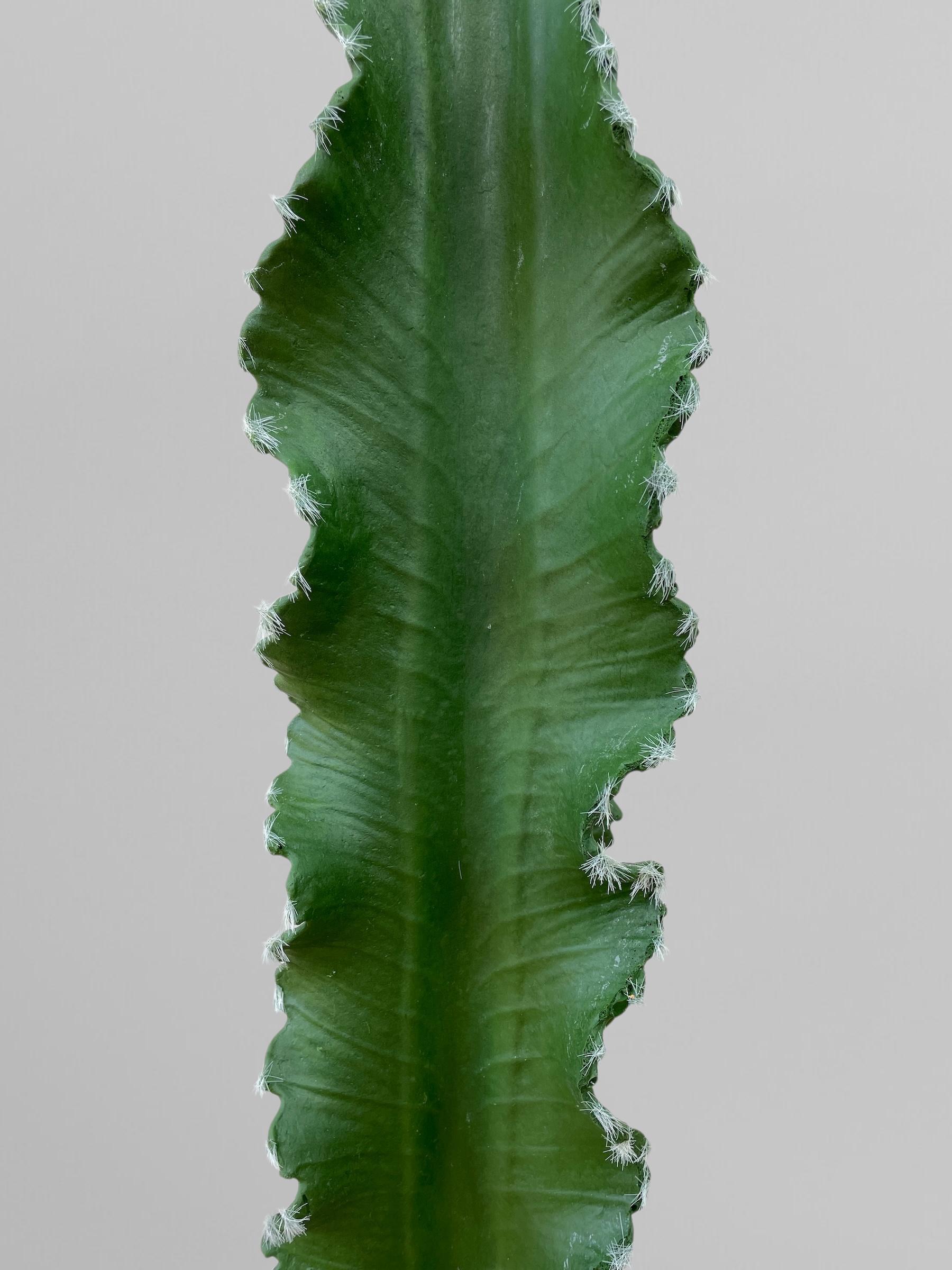Искусственный кактус 138 см Зеленый (Р06007) - фото 6