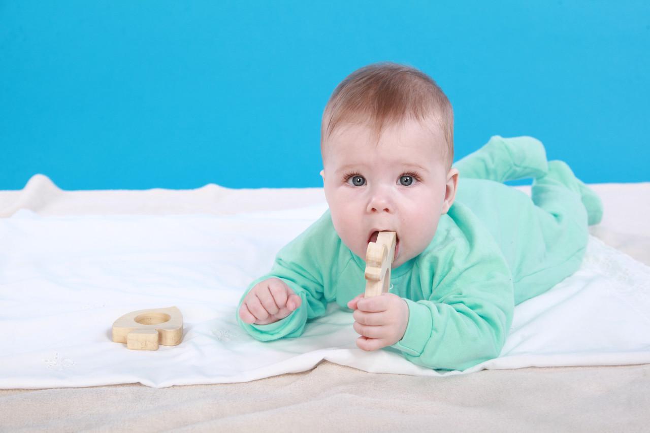 Грызунок HEGA Подарок (166) - фото 7 Грызунок HEGA Подарок (166) - фото 7