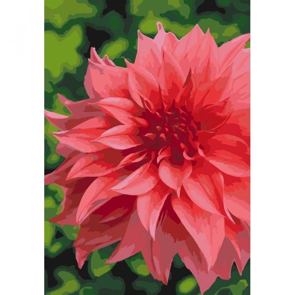 Набор для росписи по номерам Идейка Волшебная георгин 35х50 см (КНО3053-mt)