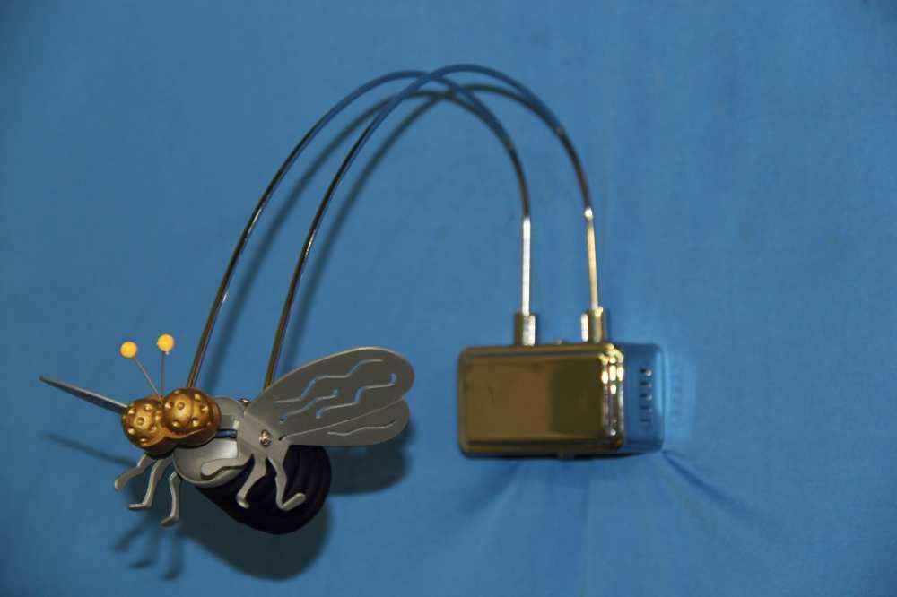 Галогенове бра Ray BWLD40/1 BL Муха (IR004958)