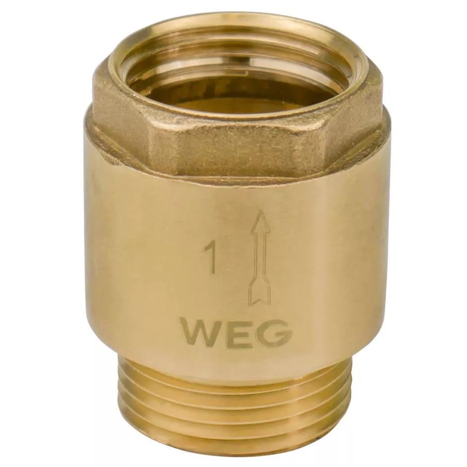 Клапан обратный для воды WEG SQ-1039000 пружинный 1" (154469)