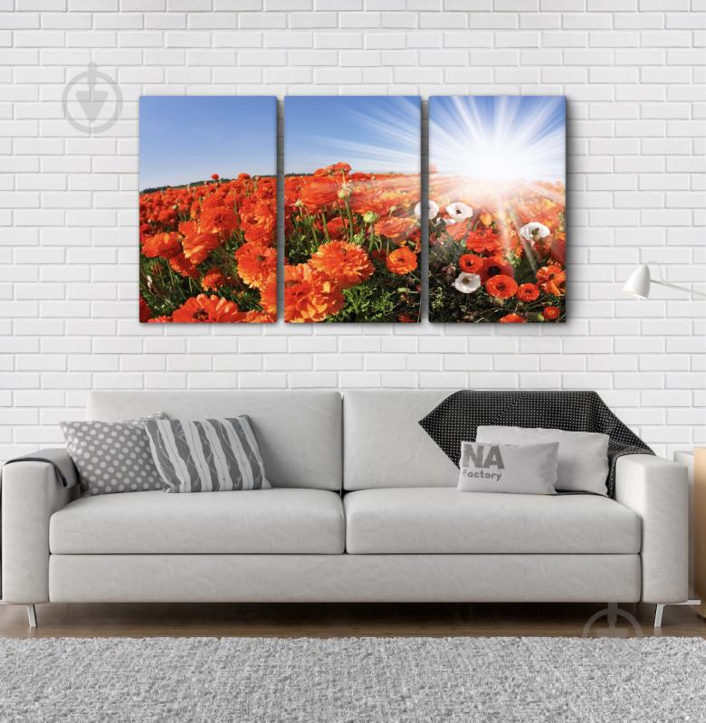 Модульна картина Poster-land Квіти Маки Art-19_3А