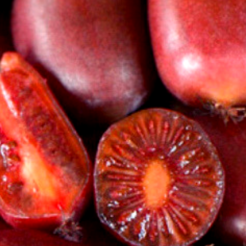 Саджанець актинідії Scarlet september червона м'якоть жіночий сорт морозостійка Р9 (640055160) - фото 3