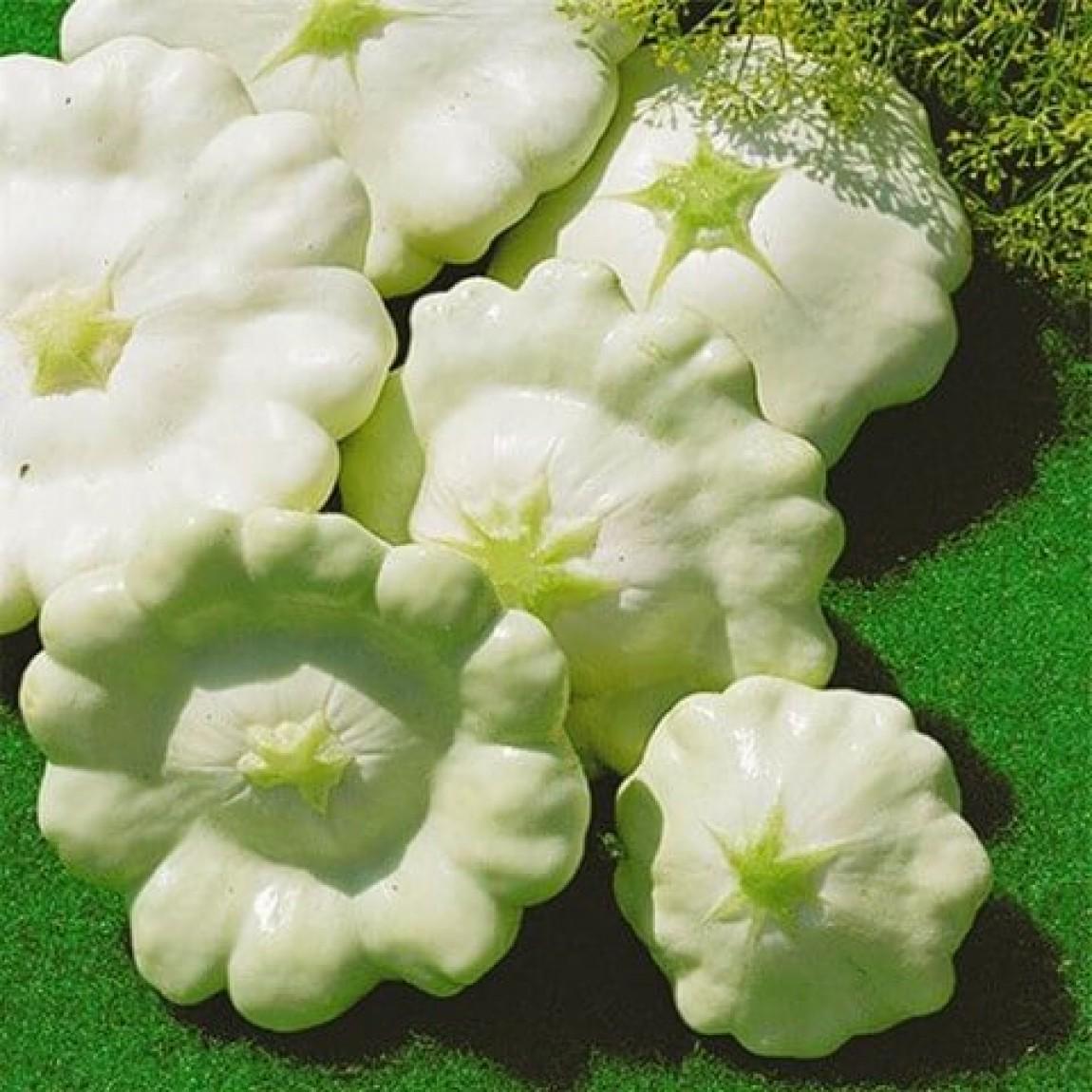 Семена Патиссон Белый ТМ Агроном ТД Гекса-Украина 01-05-045 20 шт. (IR01178)