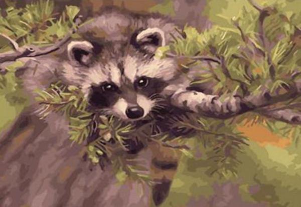 Картина по номерам Josef Otten Животные Енот 40х50 см в термопакете (5346RA_O-mt)