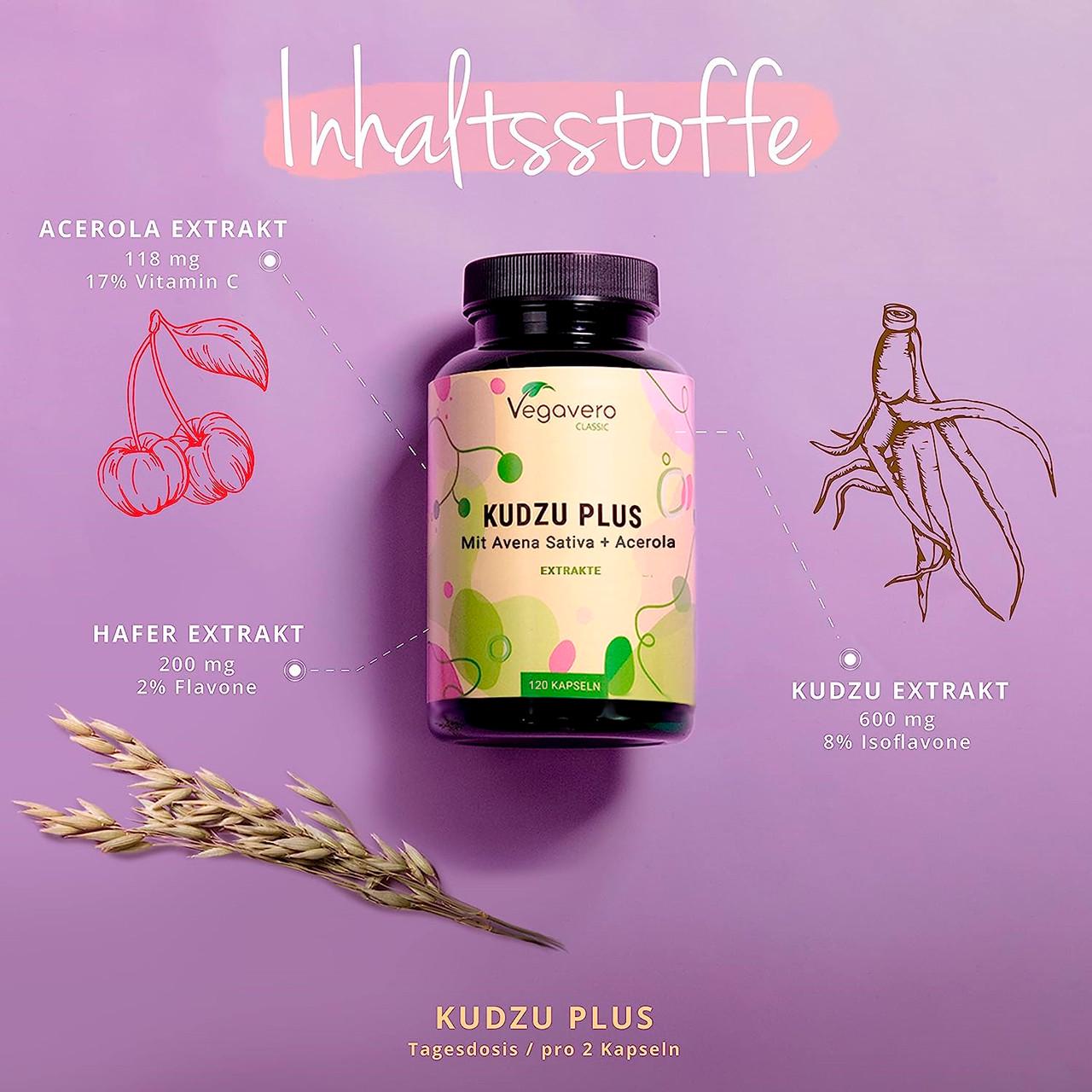 Витамины Vegavero Кудзу 600 мг 120 капсул (500945440v) - фото 2 Витамины Vegavero Кудзу 600 мг 120 капсул (500945440v) - фото 2