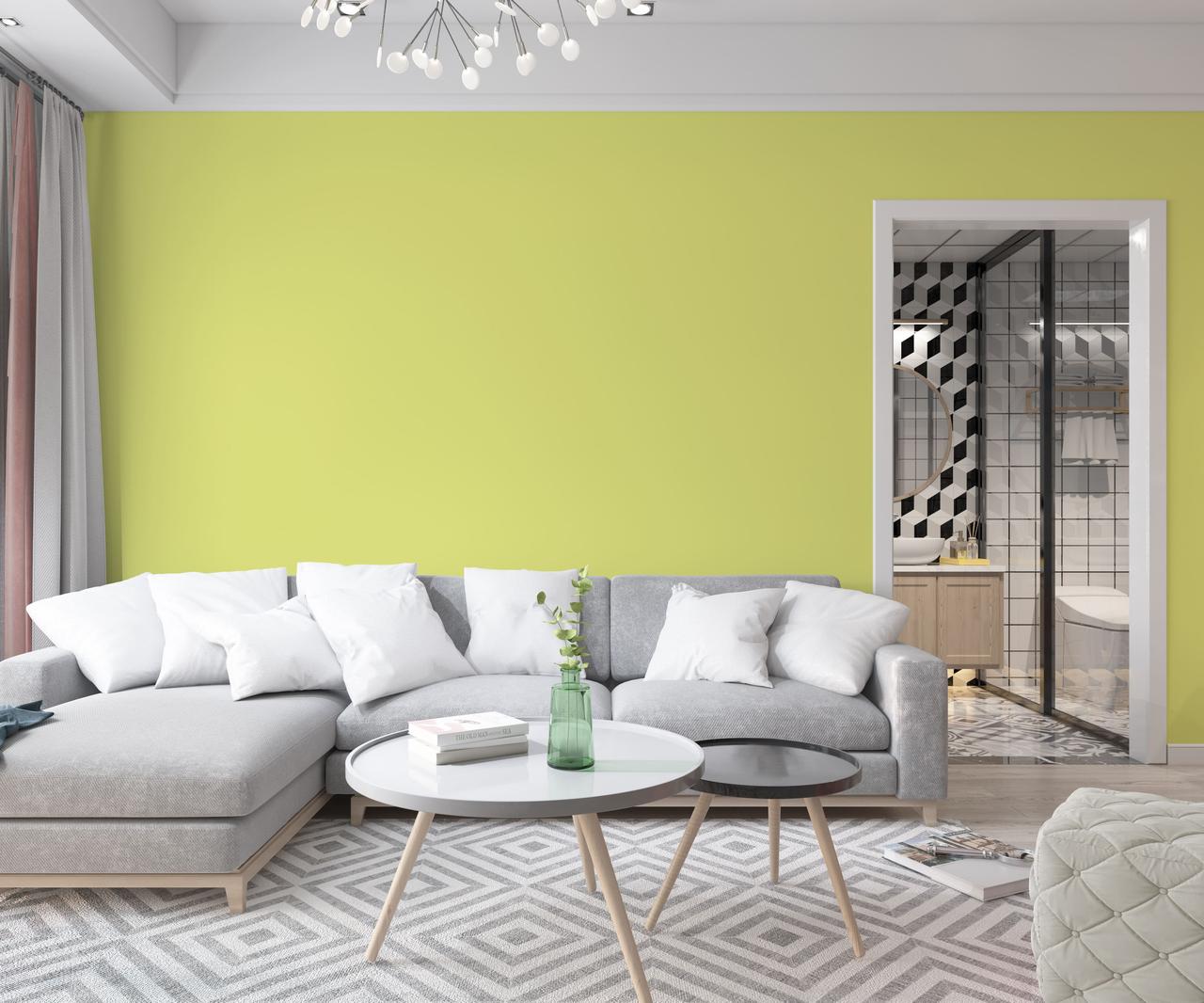 Краска интерьерная латексная Skyline 0530-Y 5 л Адонис (650c0cc34bc23147a07189dd) - фото 3 Краска интерьерная латексная Skyline 0530-Y 5 л Адонис (650c0cc34bc23147a07189dd) - фото 3