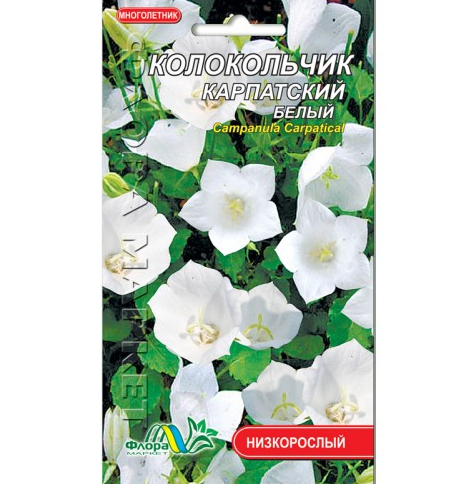 Насіння Дзвіночок Карпатський білий багаторічник низькорослий 0,01 г (26059)