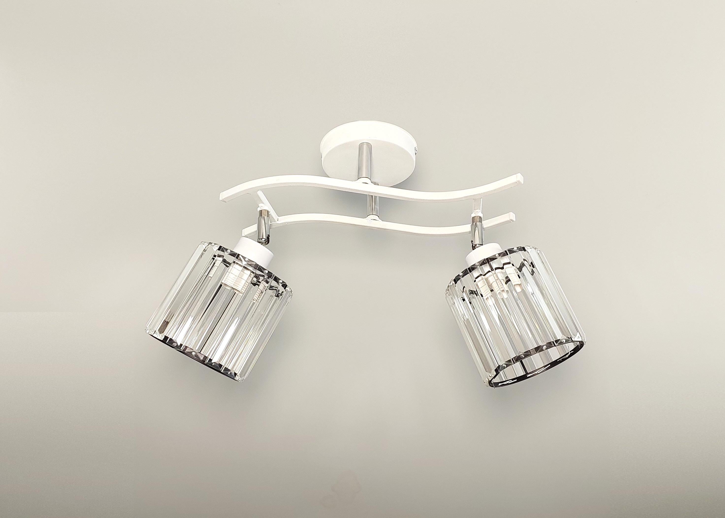 Потолочная люстра 13006/2 на 2 поворотных плафона Белый (20204281)