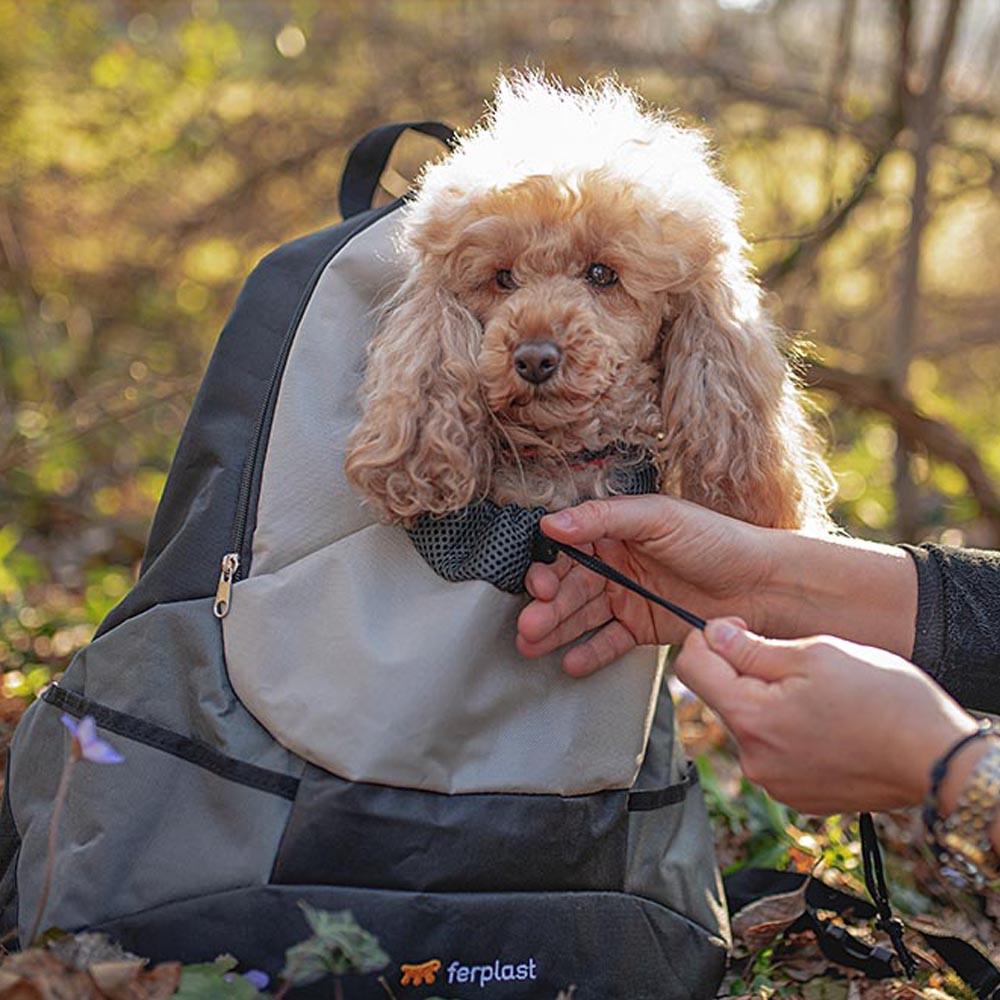 Рюкзак для маленькихсобак Ferplast Kangoo Large 41,5х20х43 см до 8 кг Черный/Серый (85748321) - фото 8 Рюкзак для маленькихсобак Ferplast Kangoo Large 41,5х20х43 см до 8 кг Черный/Серый (85748321) - фото 8