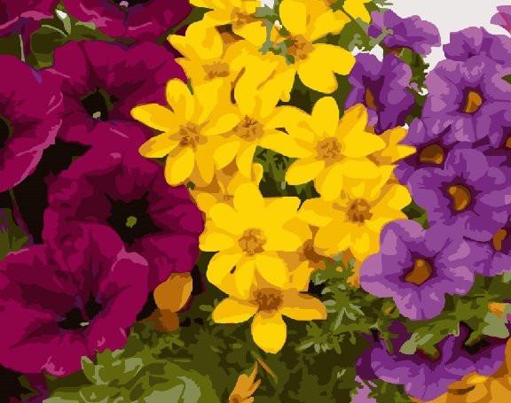 Картина по номерам Brushme Разноцветная клумба (GX24789)