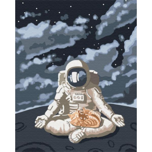 Картина по номерам Brushme Космическое спокойствие 40х50 см в термопакете (BS39760-mt)