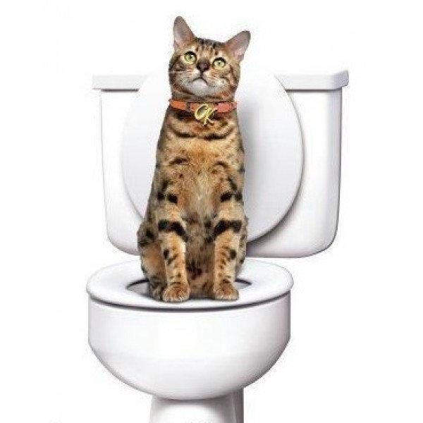 Лотки для тварин CitiKitty Toilette Training Kit (8623d787) - фото 2