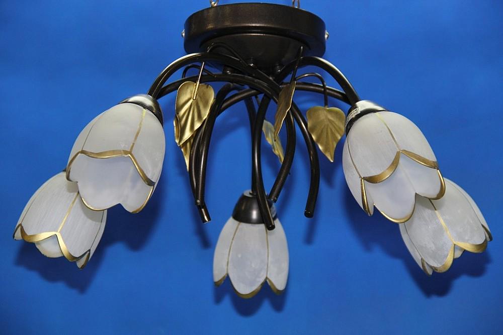 Люстра с плафонами Ray L90924/5 (IR005917) Люстра с плафонами Ray L90924/5 (IR005917)