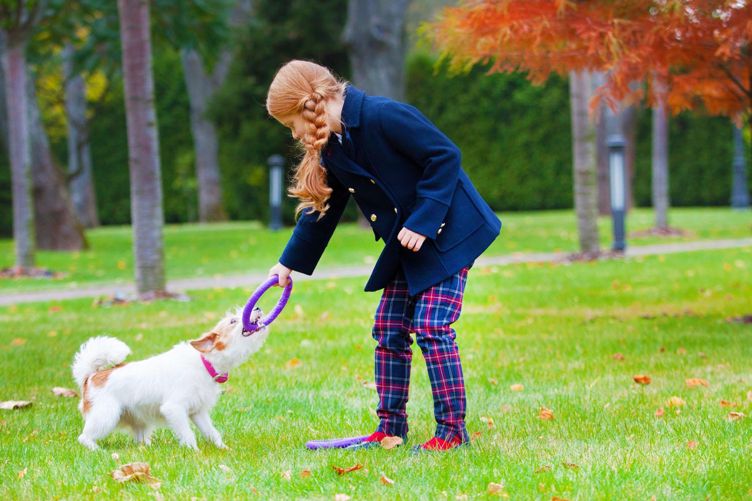 Тренувальний снаряд для собак Puller Mini 18 см (6491) - фото 15 Тренувальний снаряд для собак Puller Mini 18 см (6491) - фото 15