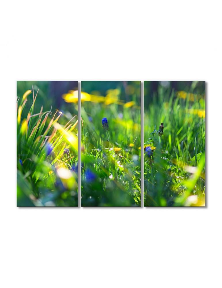 Картина модульная Солнце в полевых цветах 3 модуля 90x135 см