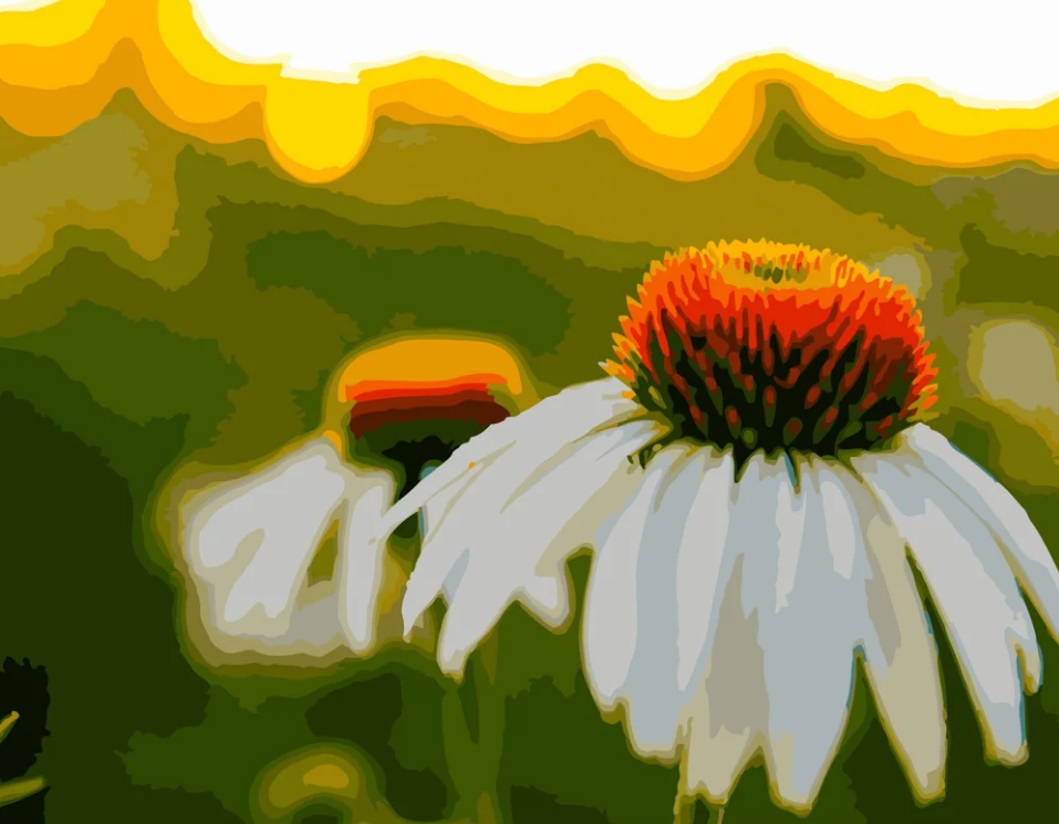 Картина по номерам Strateg Ромашки на закате 40x50 см (GS237)