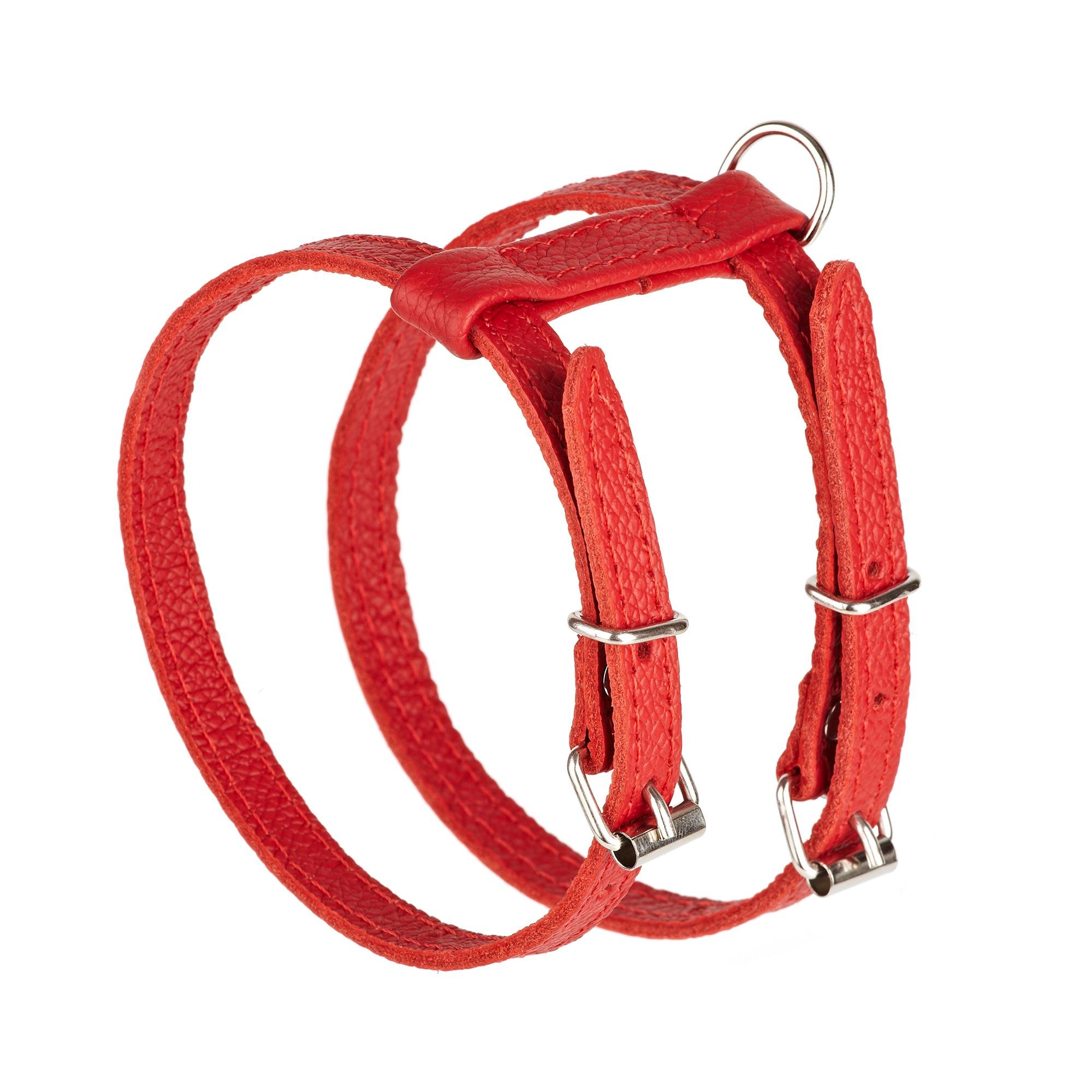 Шлея KareLine из натуральной кожи 12 мм А-230-300 мм В-270-340 мм Красный (8420/6) - фото 1