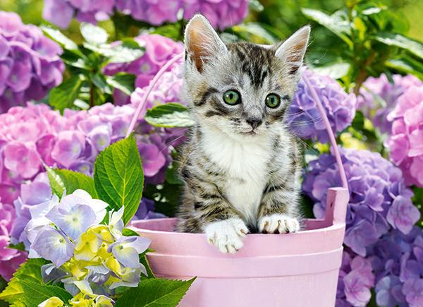 Пазл Котик в Корзинке 200 элементов (B-222209-CS)