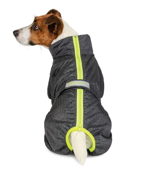 Комбінезон для собак Pet Fashion Rain для такс M Сірий (PR242593)
