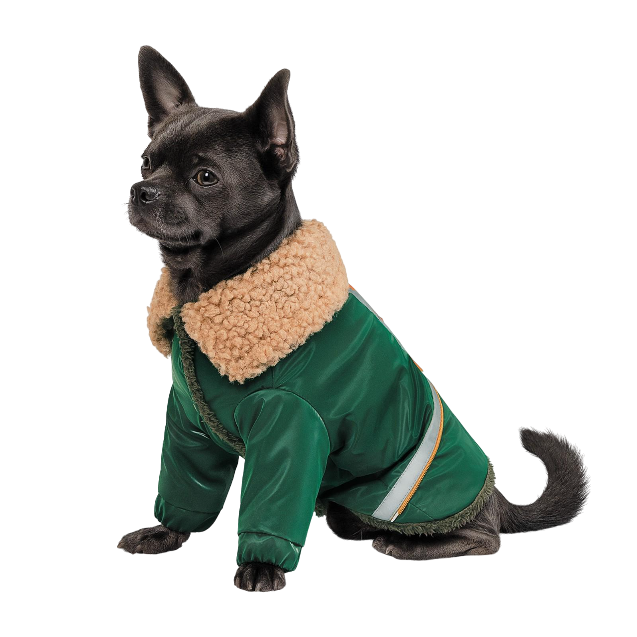 Костюм Pet Fashion Joy XS2 Оранжевый (PR242254)