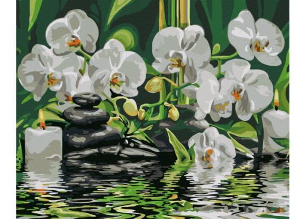 Картина за номерами Brushme Човни у морі 40х50 см у термопакеті (BS296-mt)