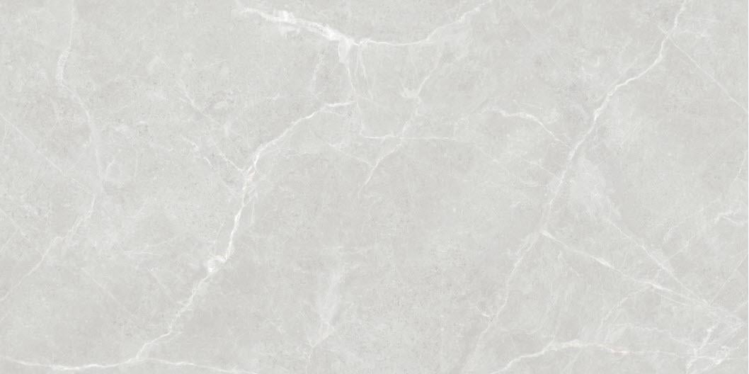 Керамогранитная плитка Elegant Bianco Carv 120х60 см (21084)